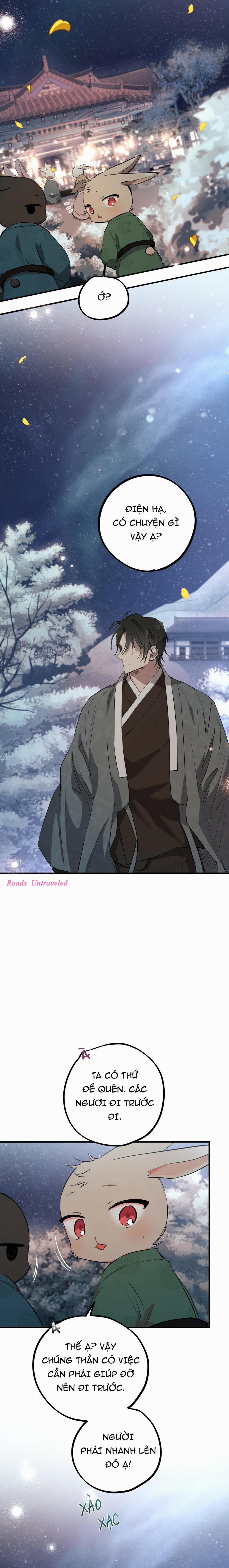 Những Chú Thỏ Của Habibi 22 trang 9