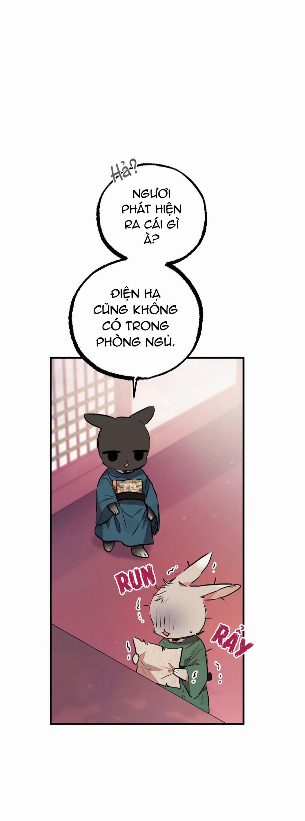 Những Chú Thỏ Của Habibi 23 trang 10