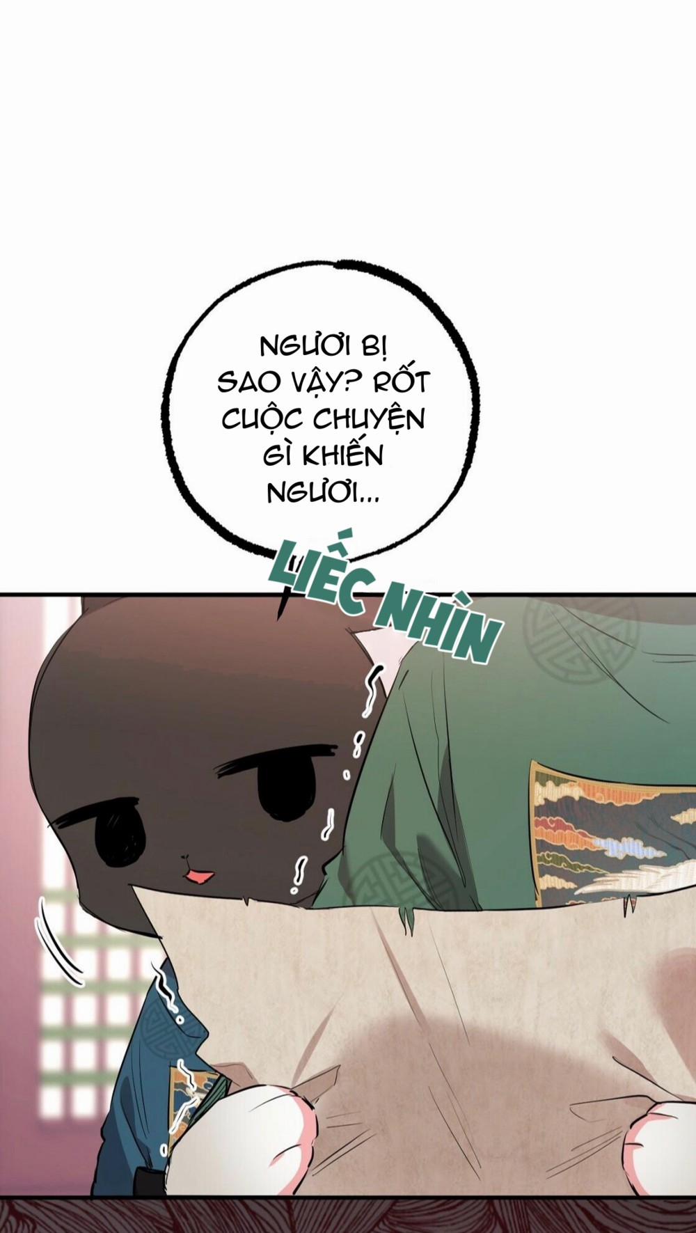 Những Chú Thỏ Của Habibi 23 trang 11