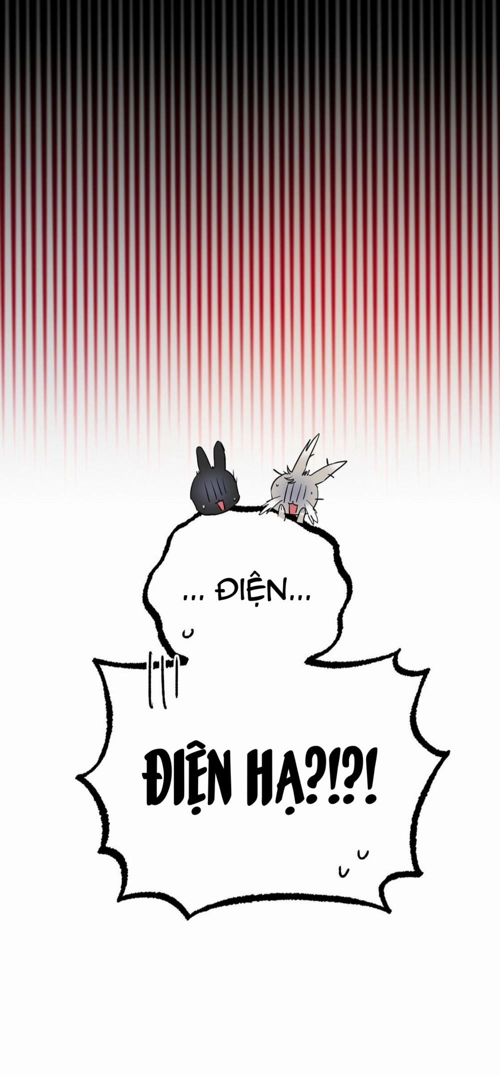 Những Chú Thỏ Của Habibi 23 trang 12