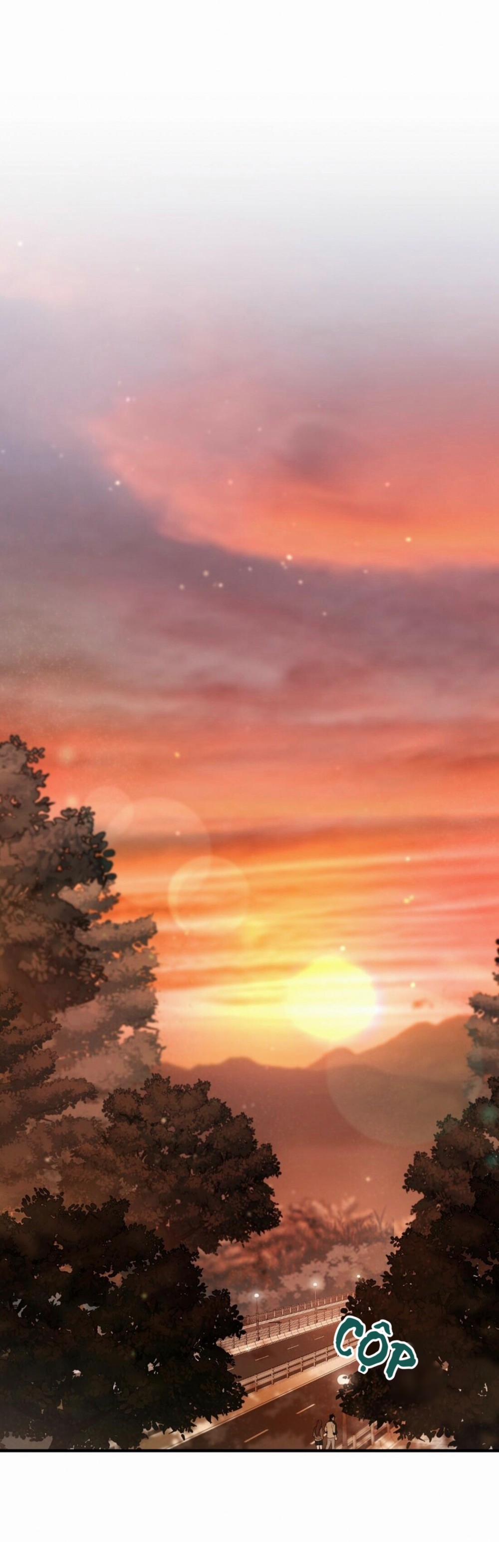 Những Chú Thỏ Của Habibi 23 trang 15