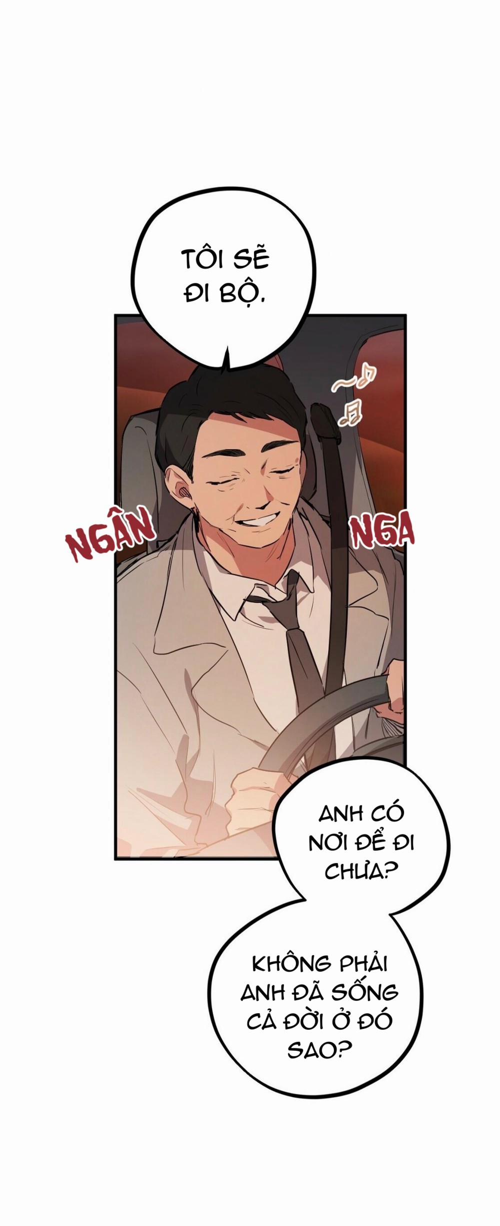 Những Chú Thỏ Của Habibi 23 trang 19