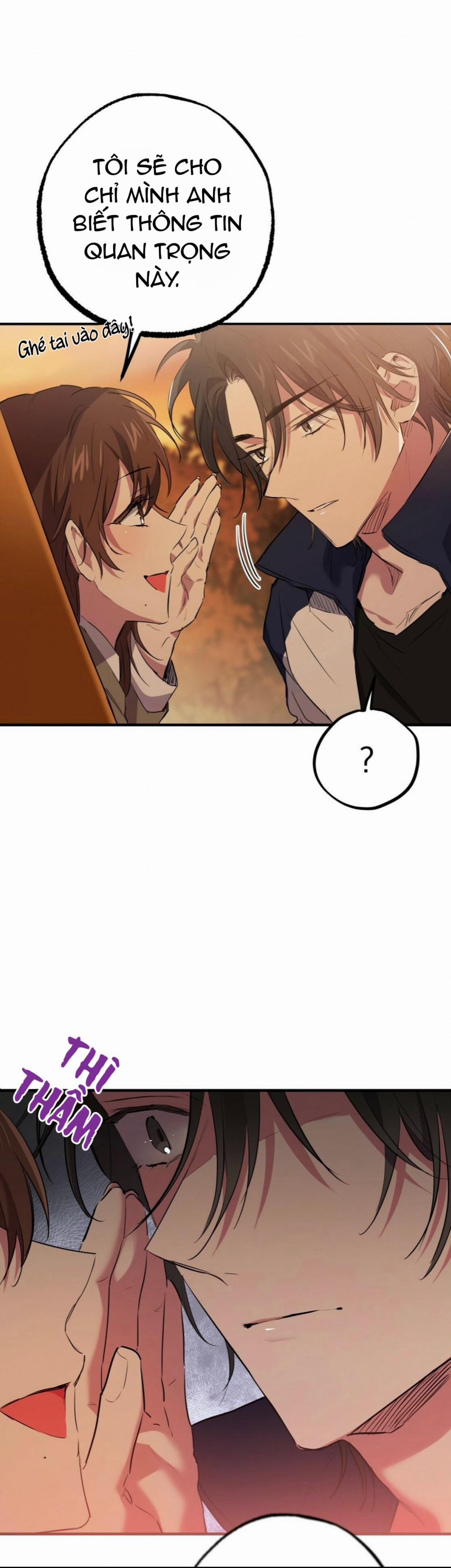 Những Chú Thỏ Của Habibi 23 trang 31