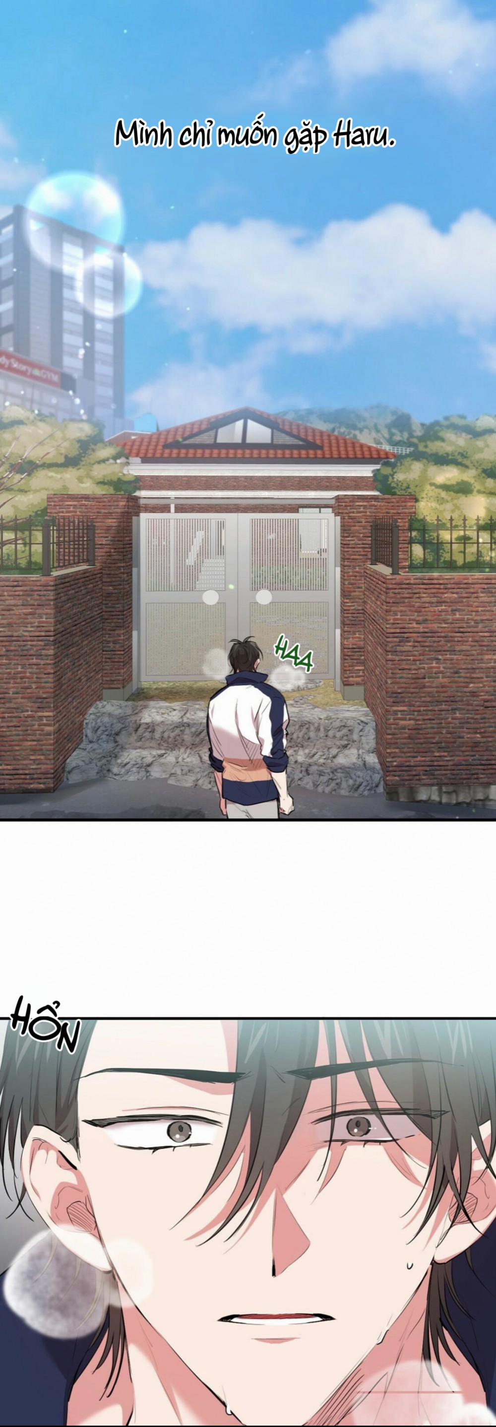 Những Chú Thỏ Của Habibi 23 trang 36