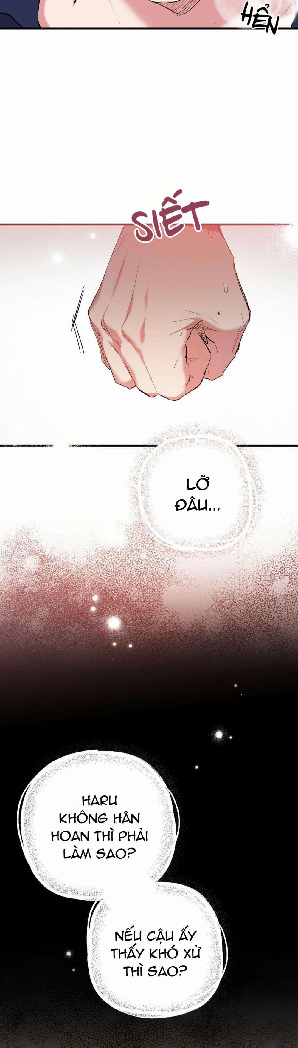 Những Chú Thỏ Của Habibi 23 trang 37