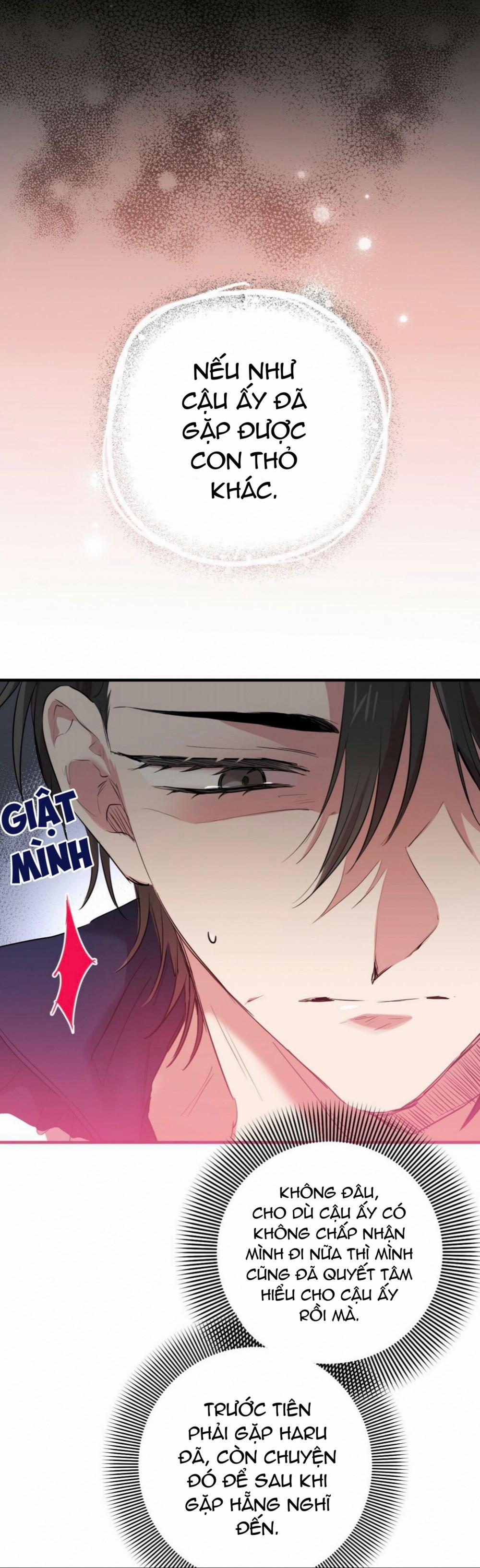 Những Chú Thỏ Của Habibi 23 trang 38