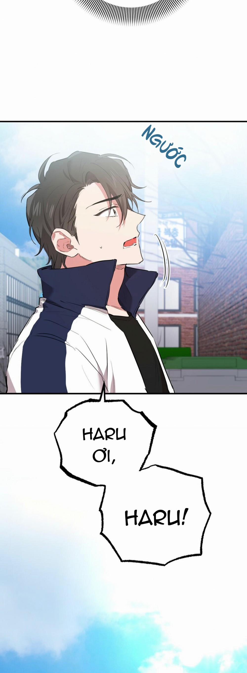 Những Chú Thỏ Của Habibi 23 trang 39