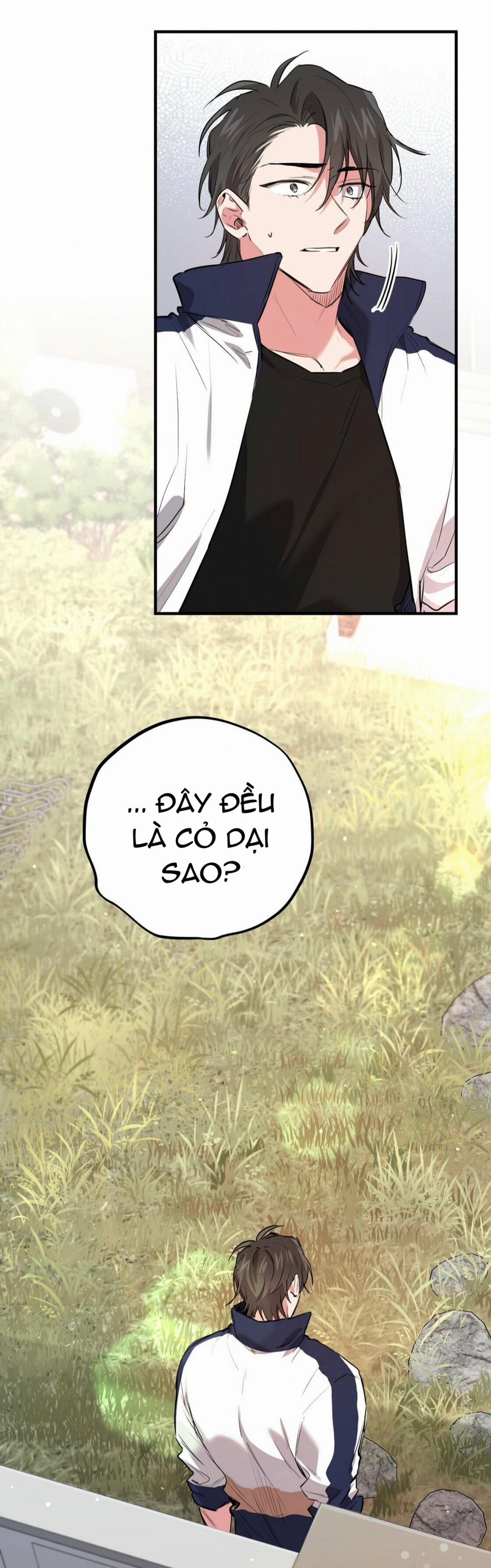 Những Chú Thỏ Của Habibi 23 trang 43