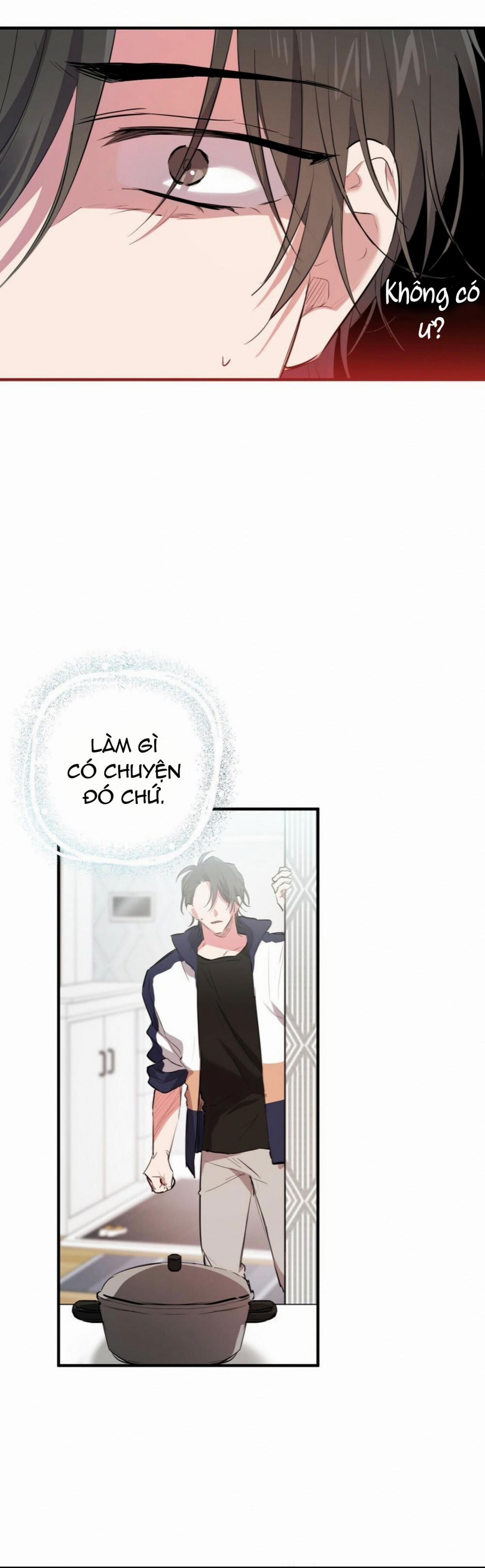 Những Chú Thỏ Của Habibi 23 trang 47