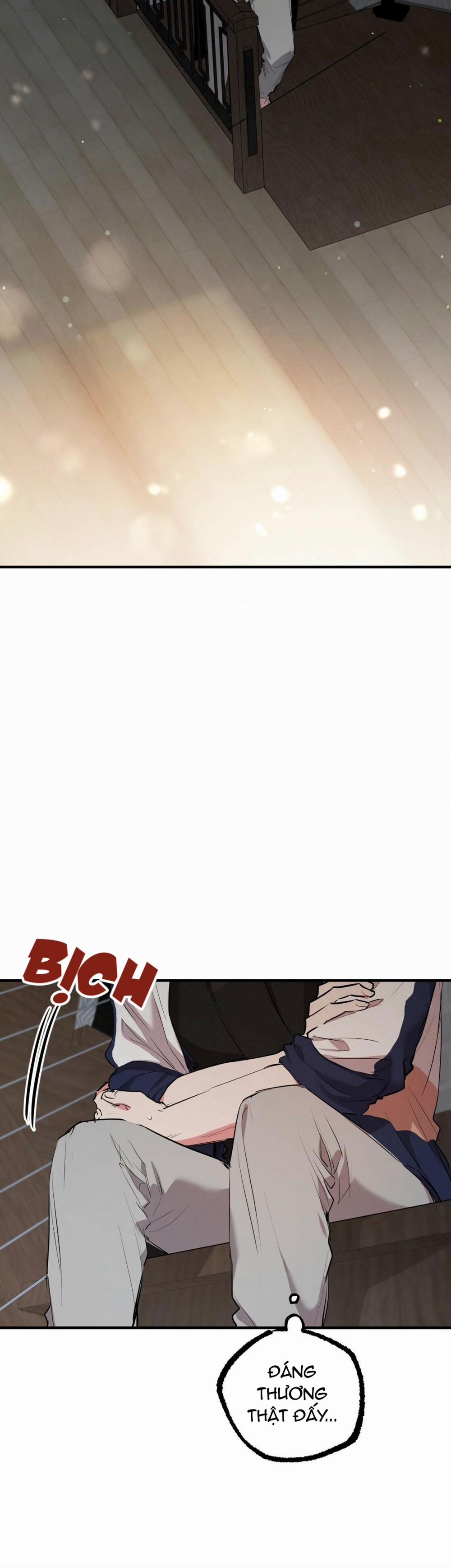 Những Chú Thỏ Của Habibi 23 trang 49