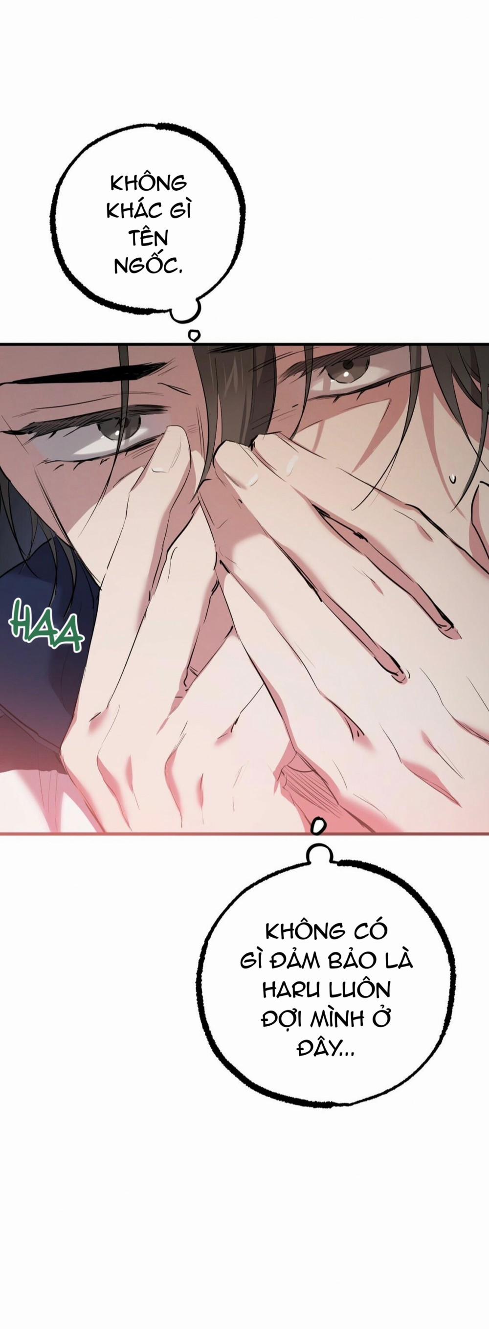 Những Chú Thỏ Của Habibi 23 trang 50