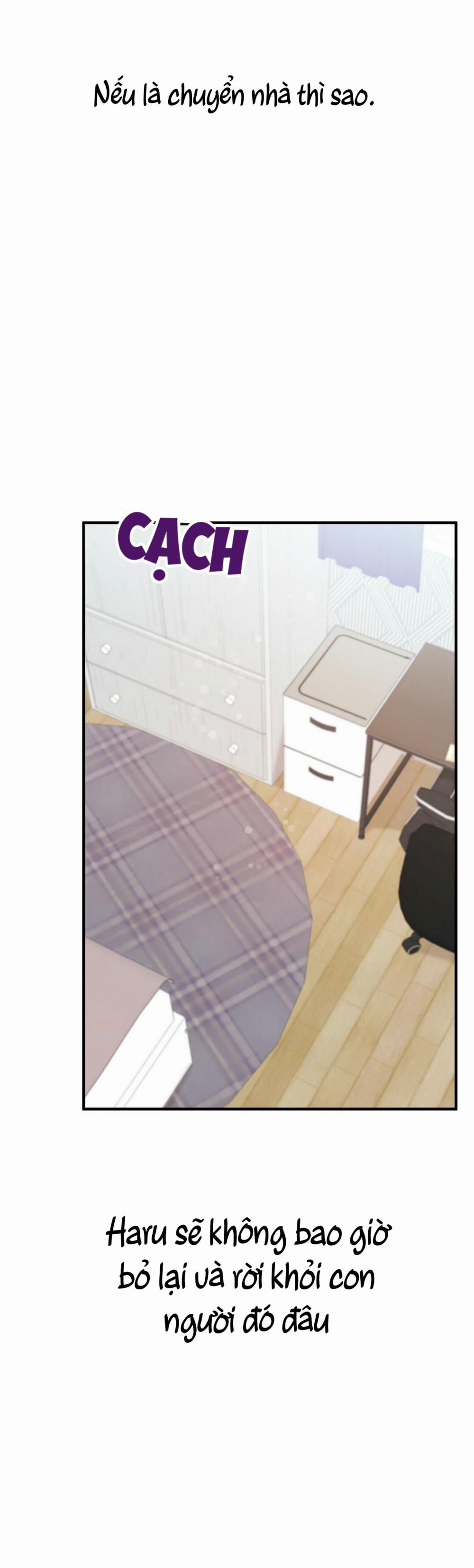 Những Chú Thỏ Của Habibi 23 trang 53