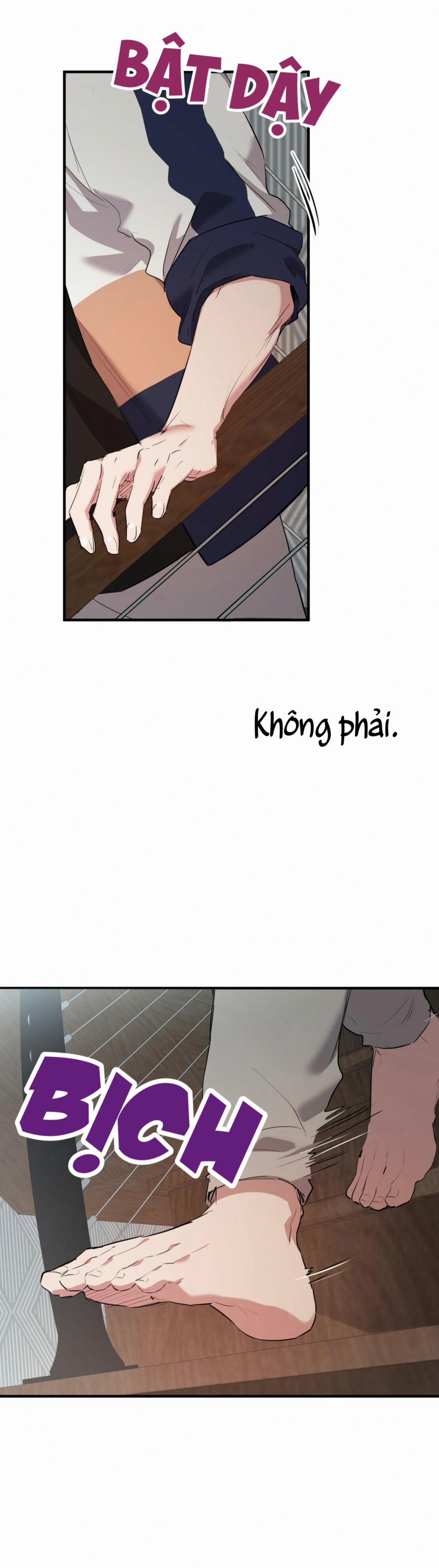 Những Chú Thỏ Của Habibi 23 trang 54