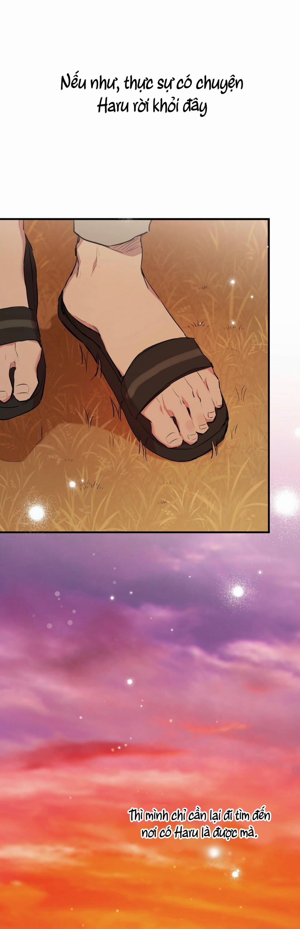 Những Chú Thỏ Của Habibi 23 trang 56