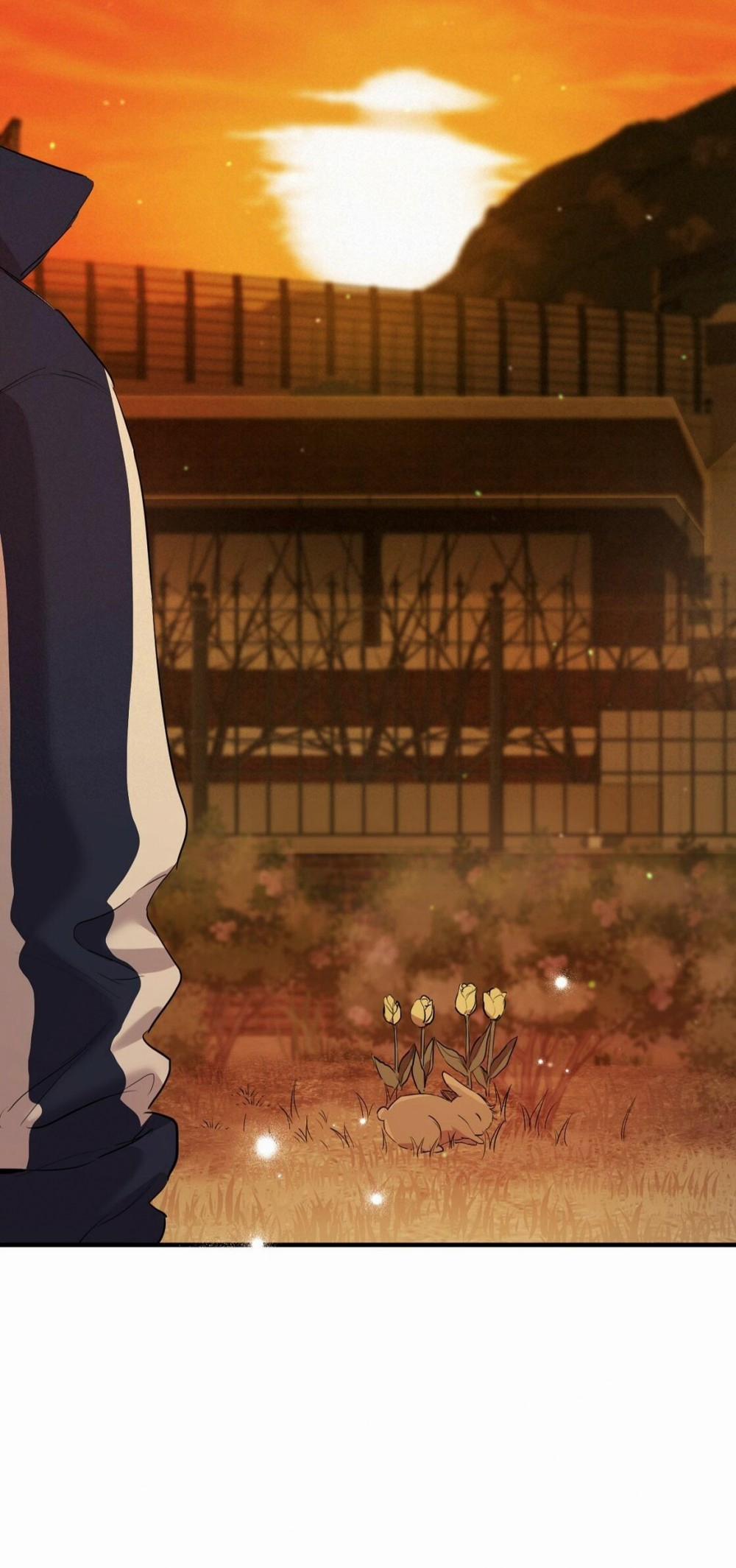 Những Chú Thỏ Của Habibi 23 trang 57