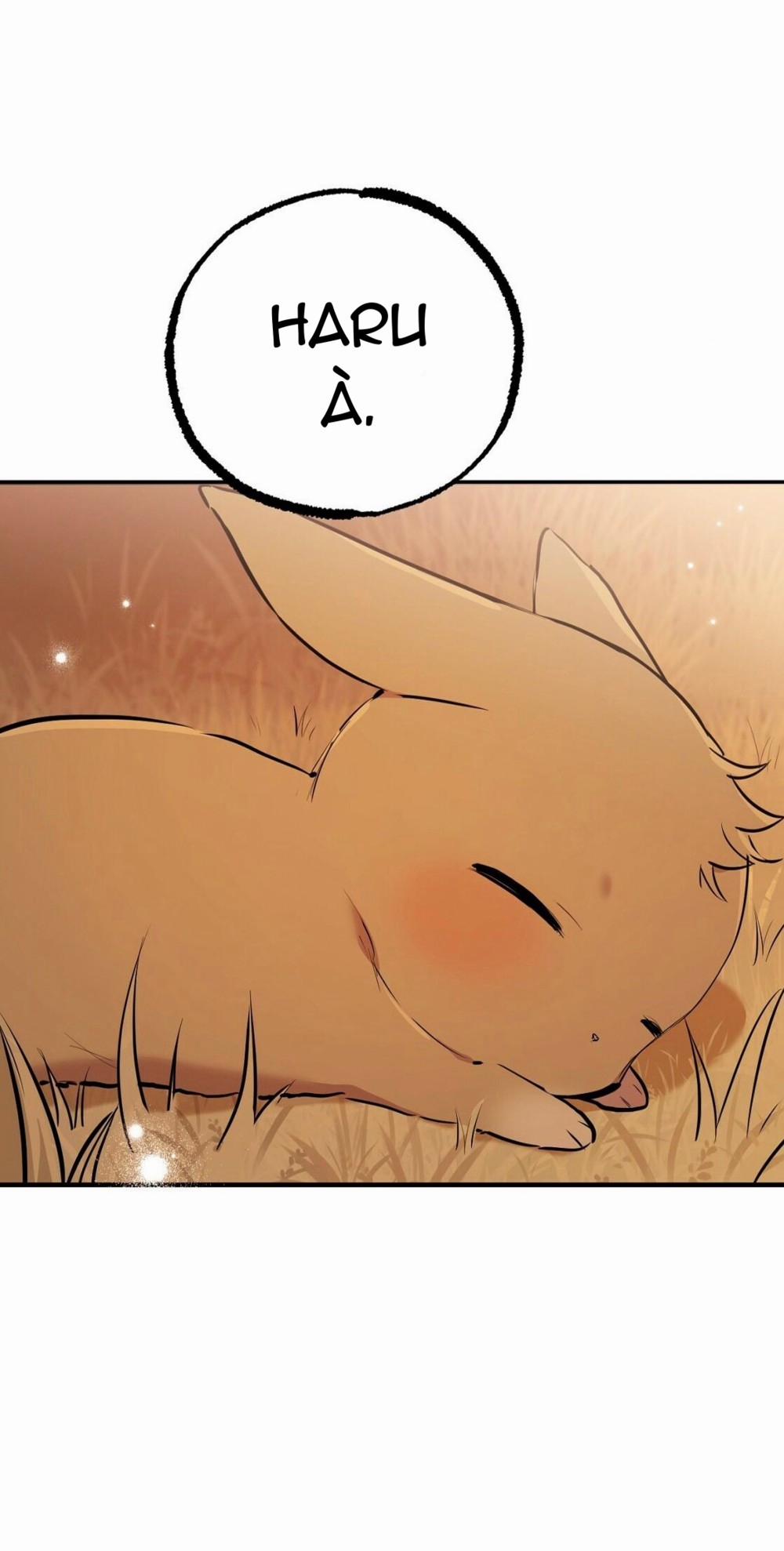 Những Chú Thỏ Của Habibi 23 trang 59