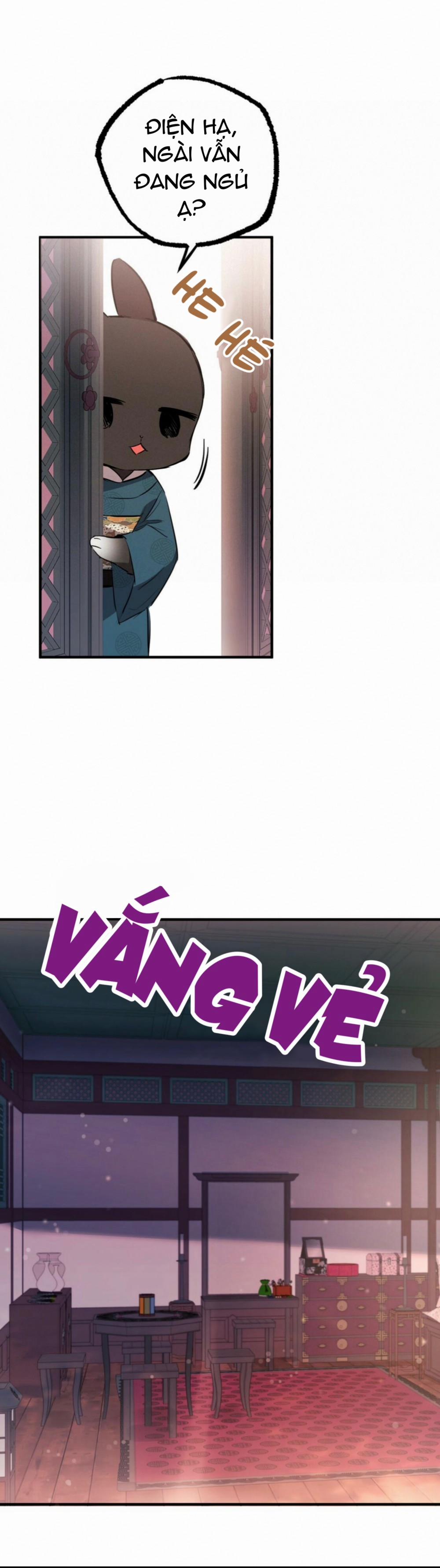 Những Chú Thỏ Của Habibi 23 trang 8