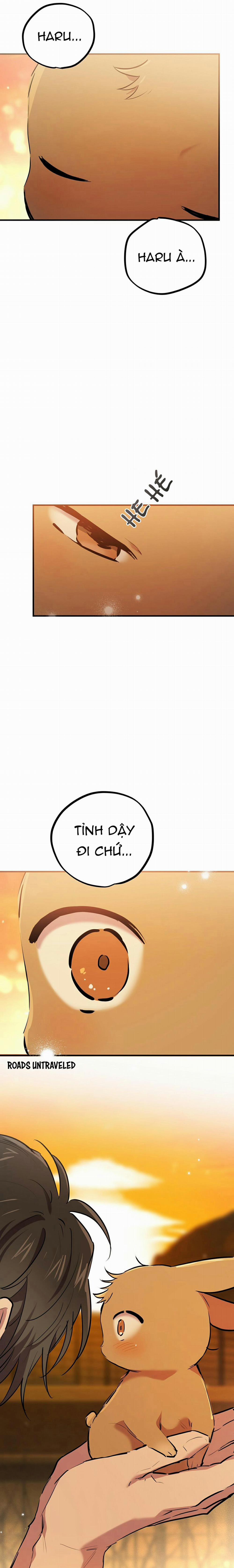 Những Chú Thỏ Của Habibi 24 trang 1