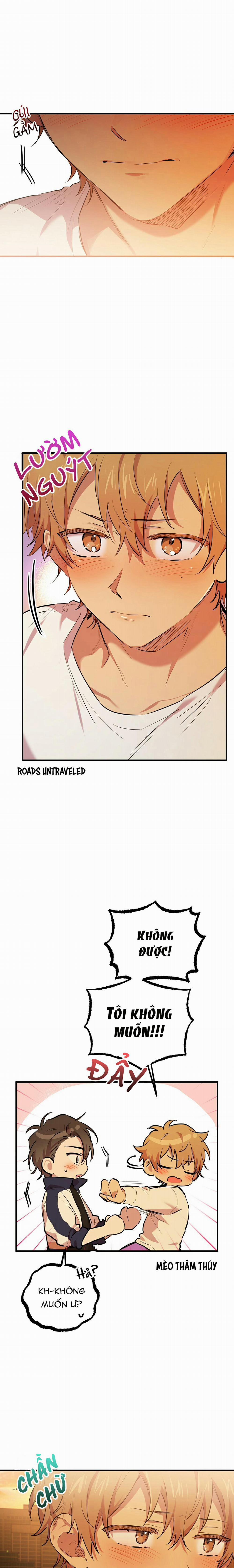 Những Chú Thỏ Của Habibi 24 trang 10