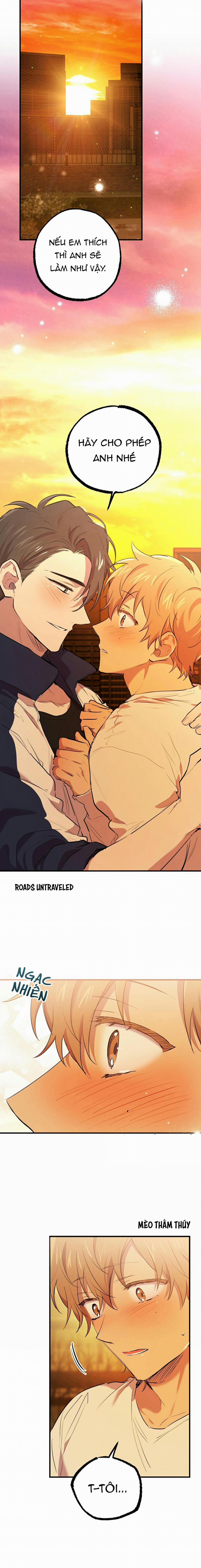 Những Chú Thỏ Của Habibi 24 trang 11