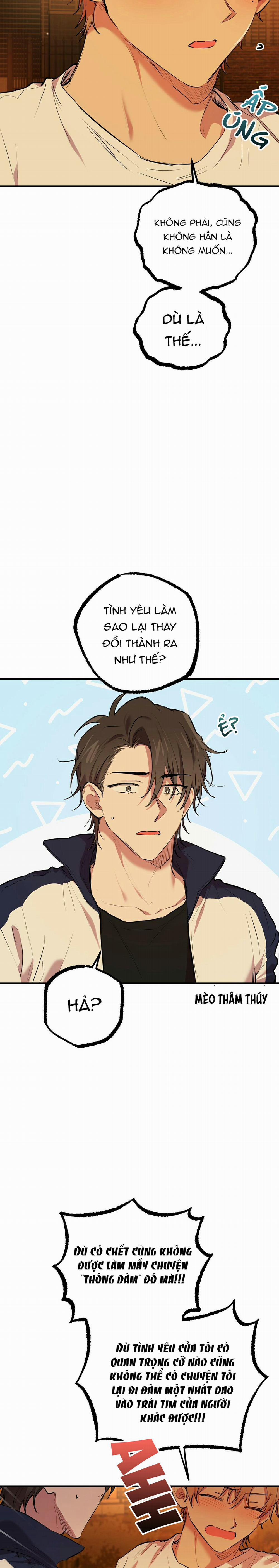 Những Chú Thỏ Của Habibi 24 trang 12