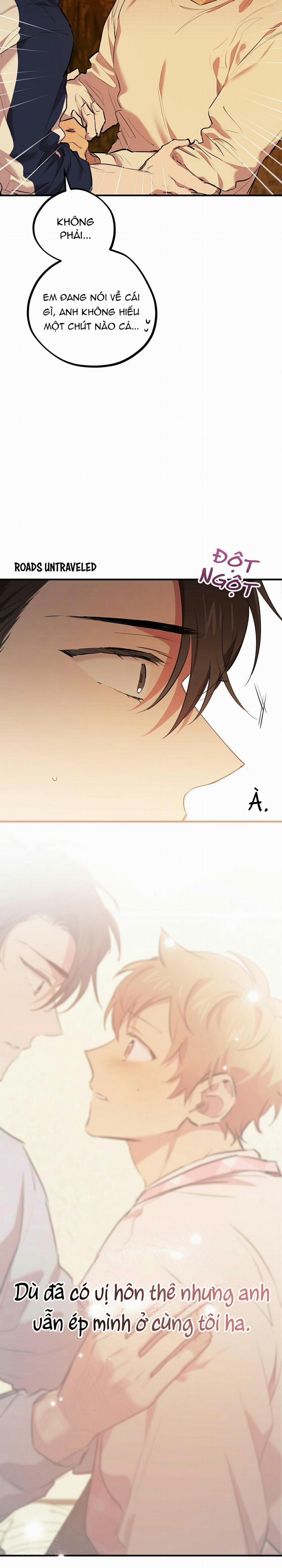 Những Chú Thỏ Của Habibi 24 trang 13