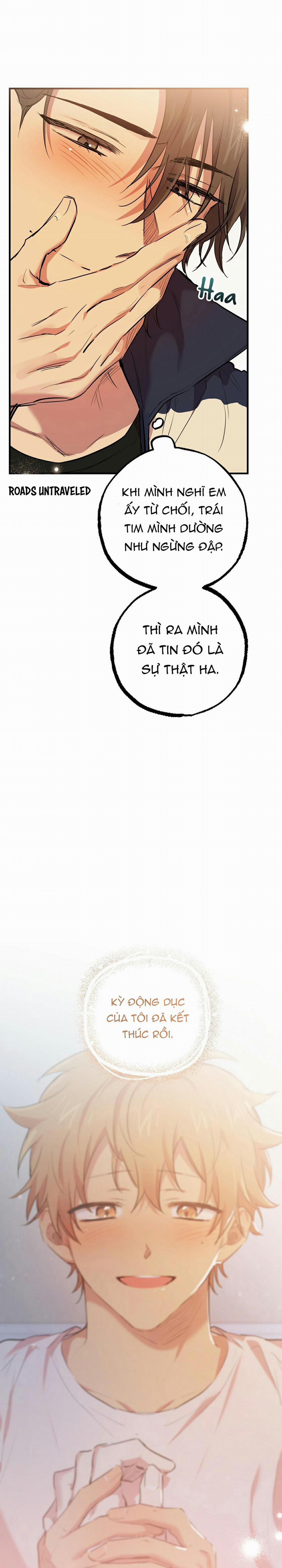 Những Chú Thỏ Của Habibi 24 trang 15