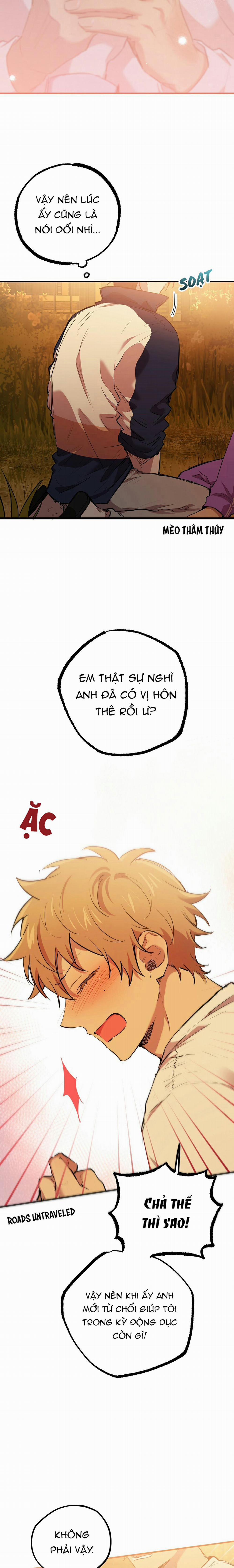 Những Chú Thỏ Của Habibi 24 trang 16