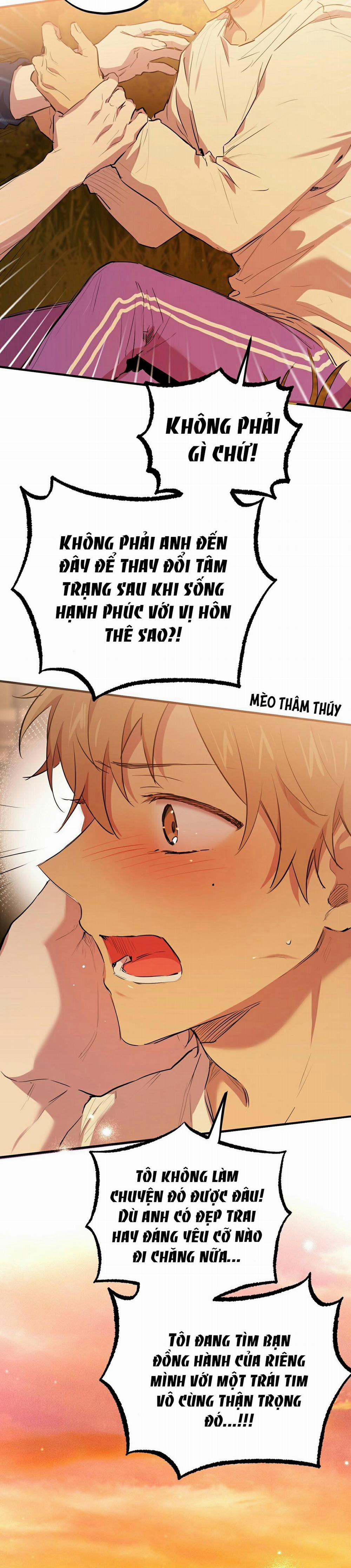 Những Chú Thỏ Của Habibi 24 trang 17