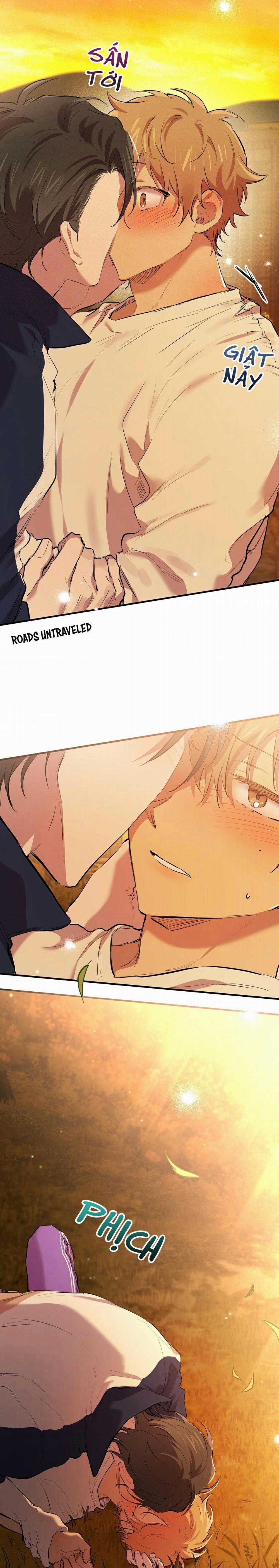 Những Chú Thỏ Của Habibi 24 trang 18