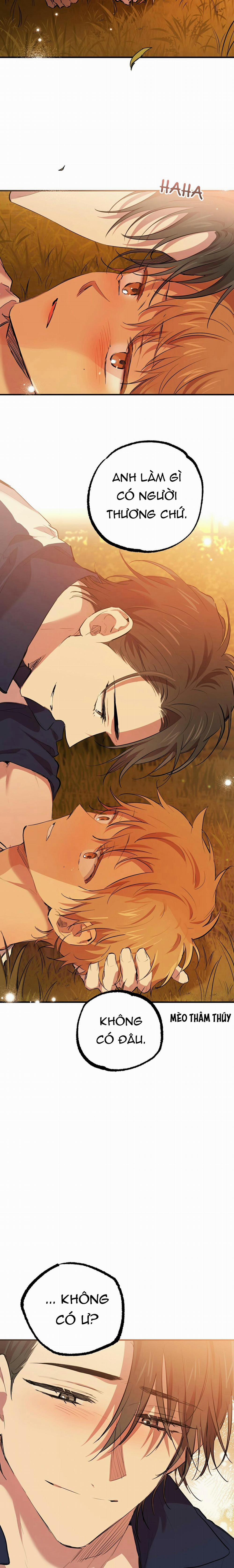 Những Chú Thỏ Của Habibi 24 trang 19