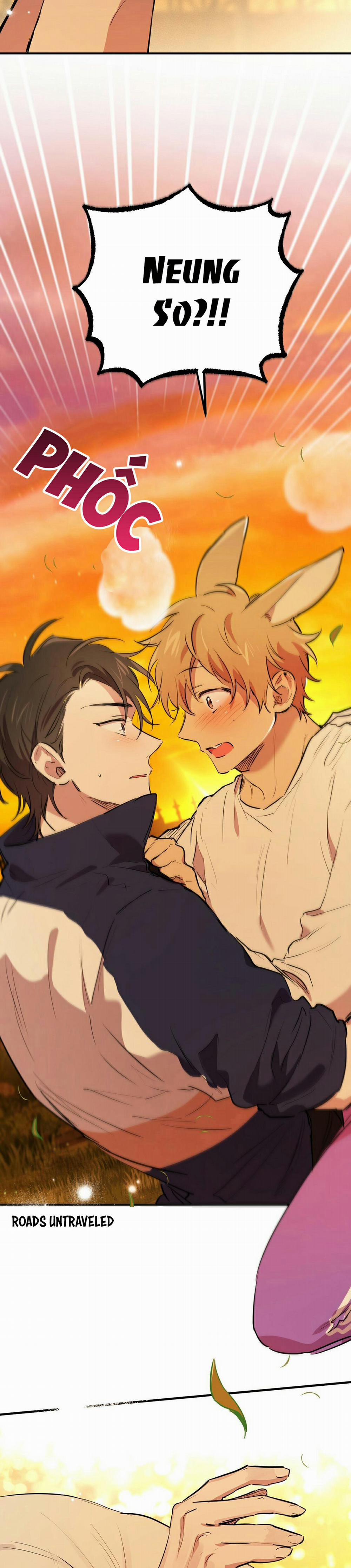 Những Chú Thỏ Của Habibi 24 trang 2