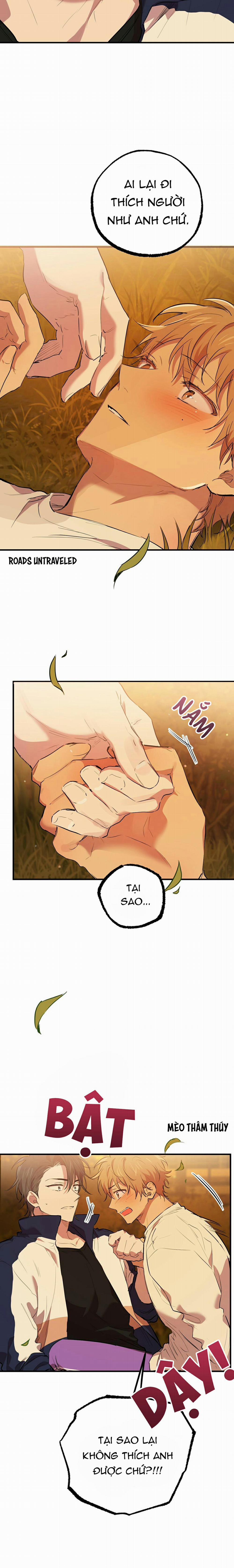 Những Chú Thỏ Của Habibi 24 trang 20