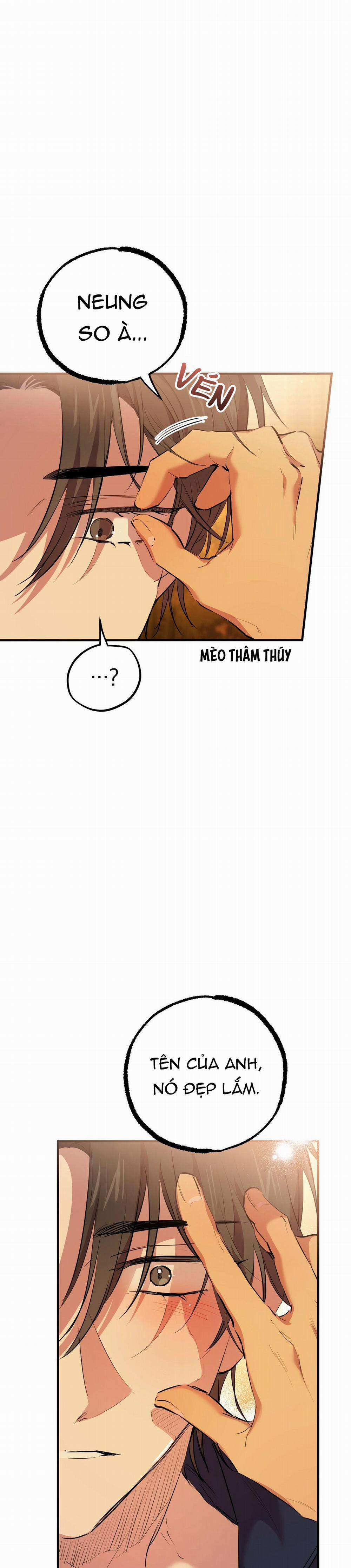 Những Chú Thỏ Của Habibi 24 trang 24