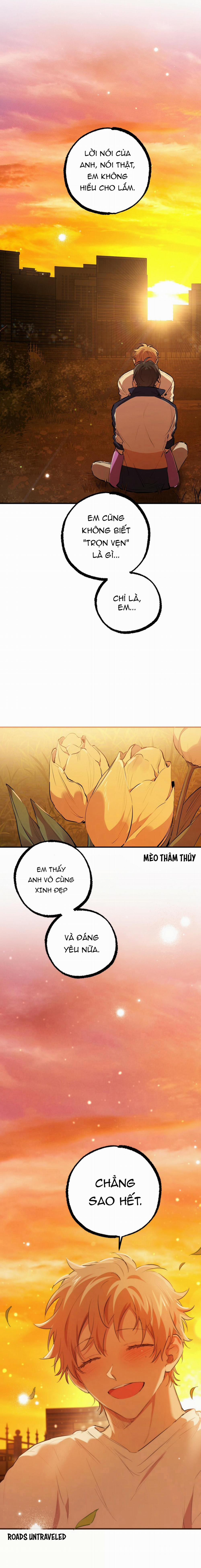 Những Chú Thỏ Của Habibi 24 trang 27