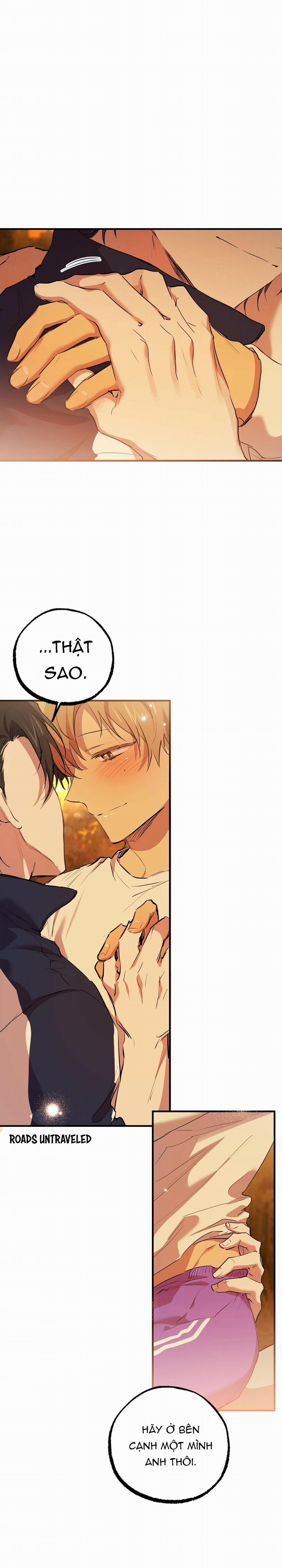 Những Chú Thỏ Của Habibi 24 trang 28