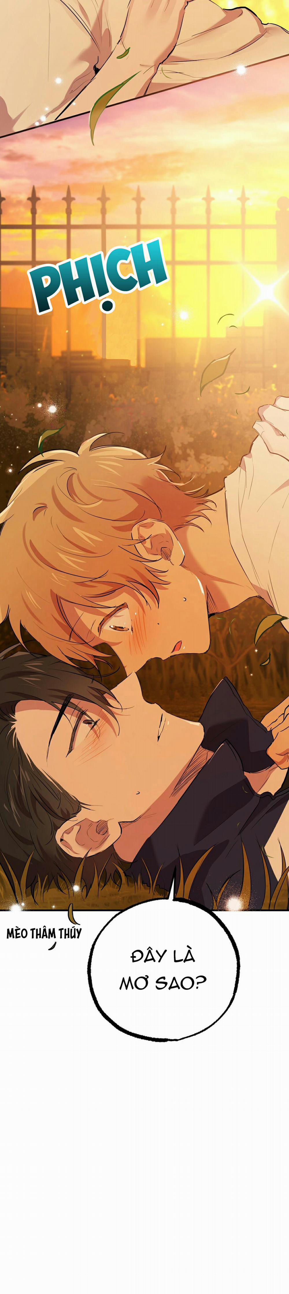 Những Chú Thỏ Của Habibi 24 trang 3