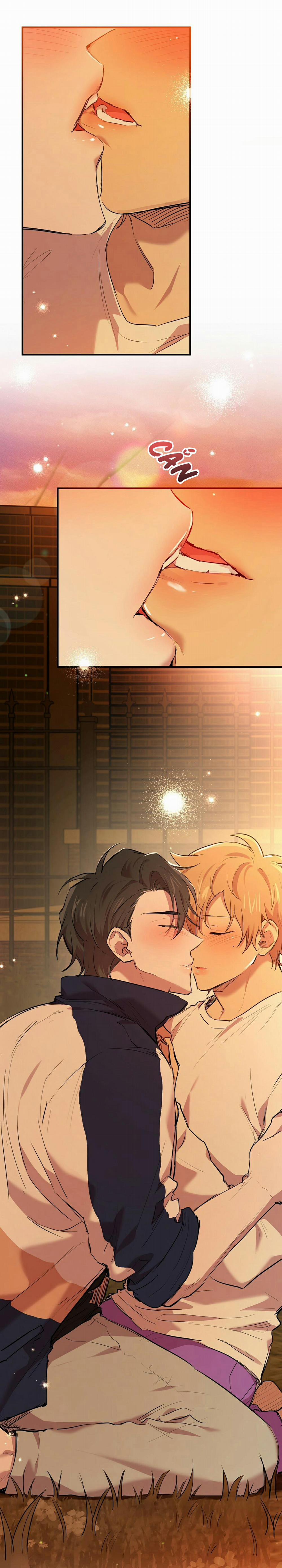 Những Chú Thỏ Của Habibi 24 trang 6