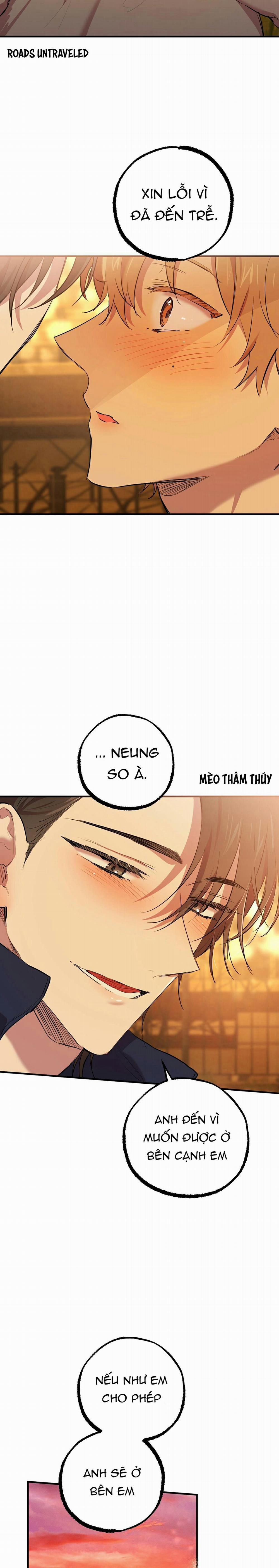 Những Chú Thỏ Của Habibi 24 trang 8