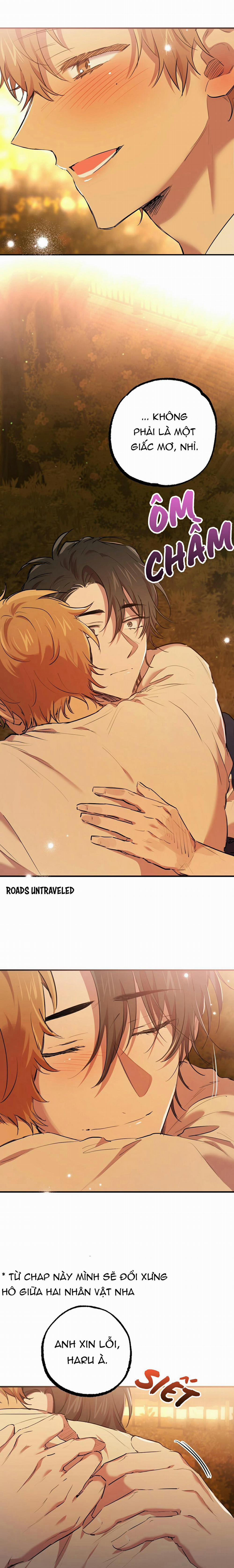 Những Chú Thỏ Của Habibi 24 trang 9