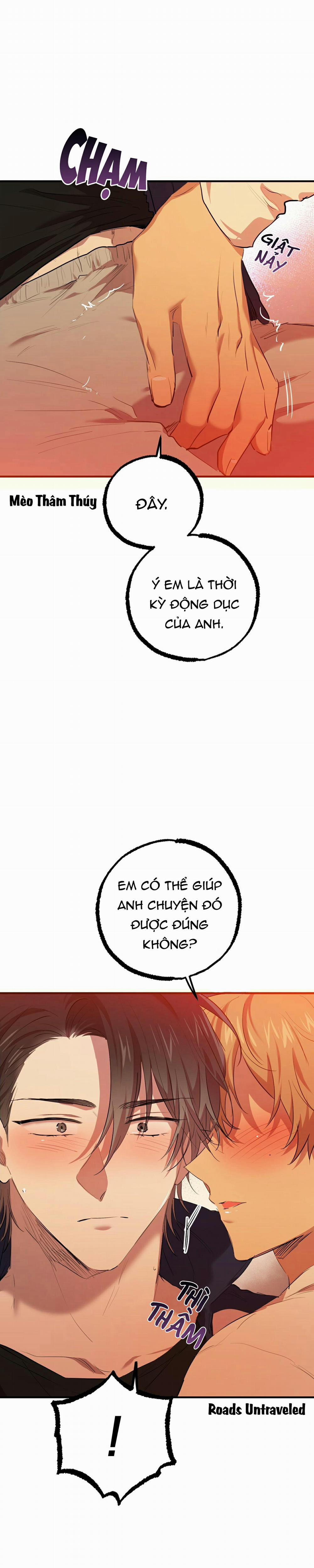 Những Chú Thỏ Của Habibi 25 trang 0