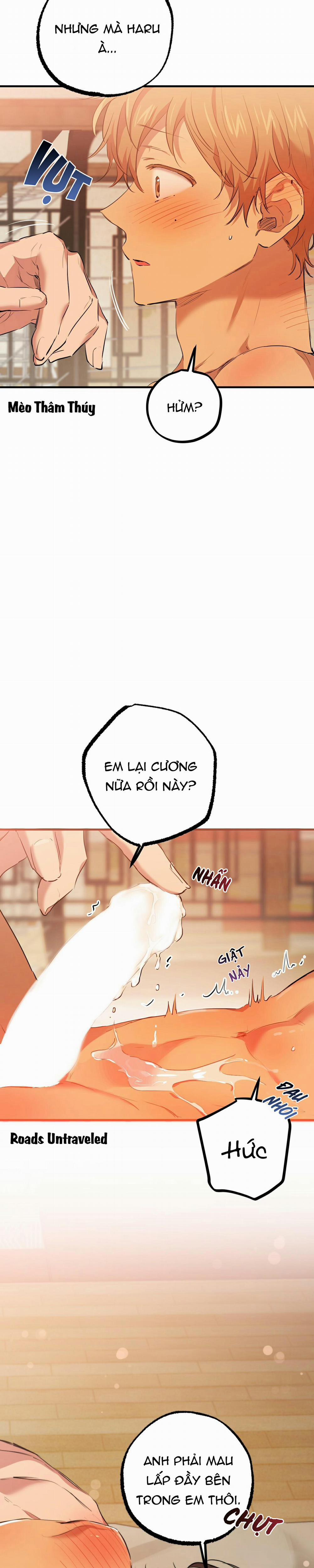 Những Chú Thỏ Của Habibi 25 trang 10