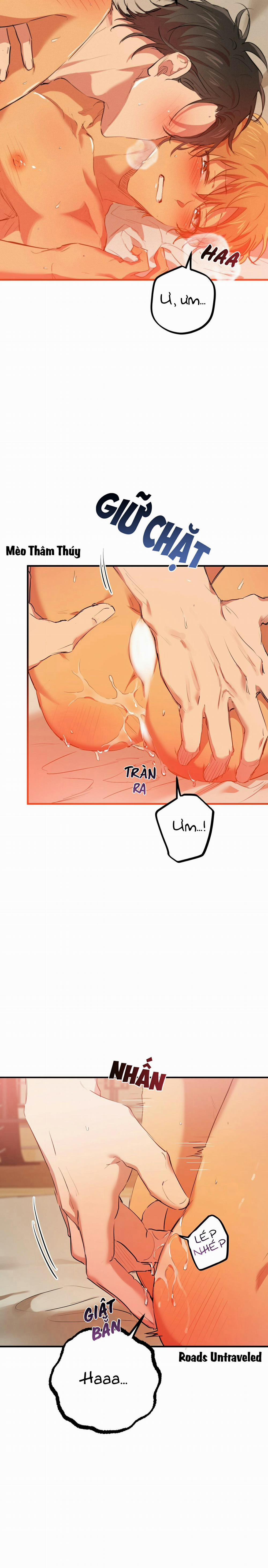 Những Chú Thỏ Của Habibi 25 trang 11