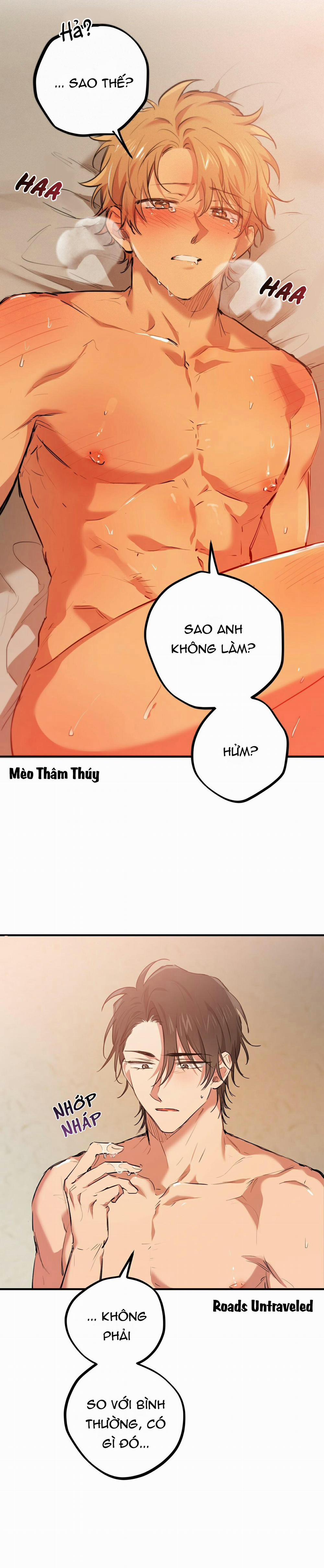 Những Chú Thỏ Của Habibi 25 trang 15