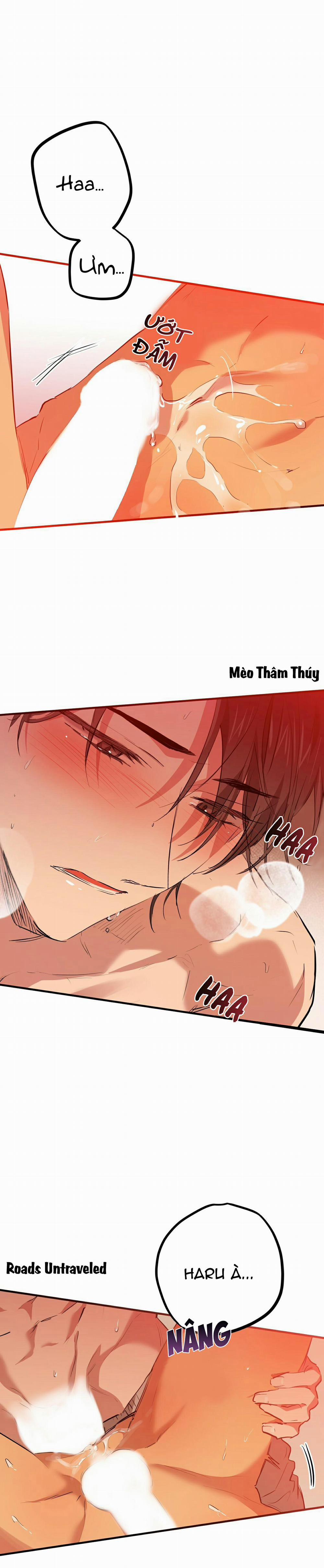 Những Chú Thỏ Của Habibi 25 trang 22