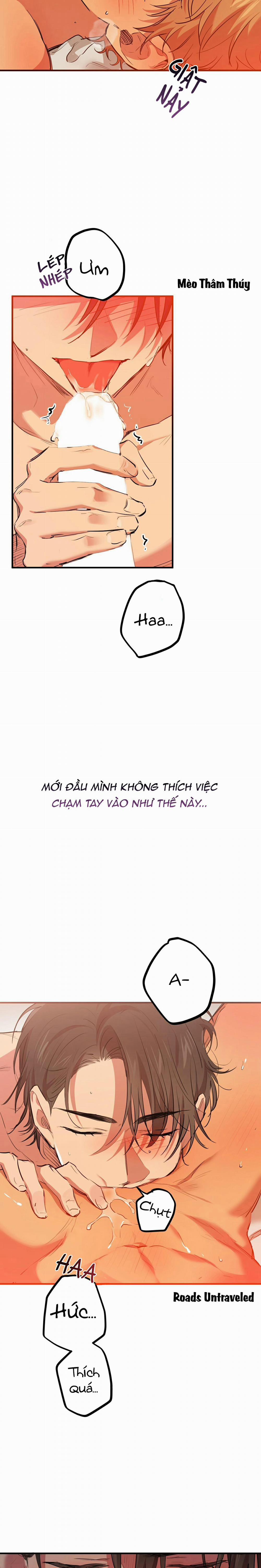 Những Chú Thỏ Của Habibi 25 trang 6