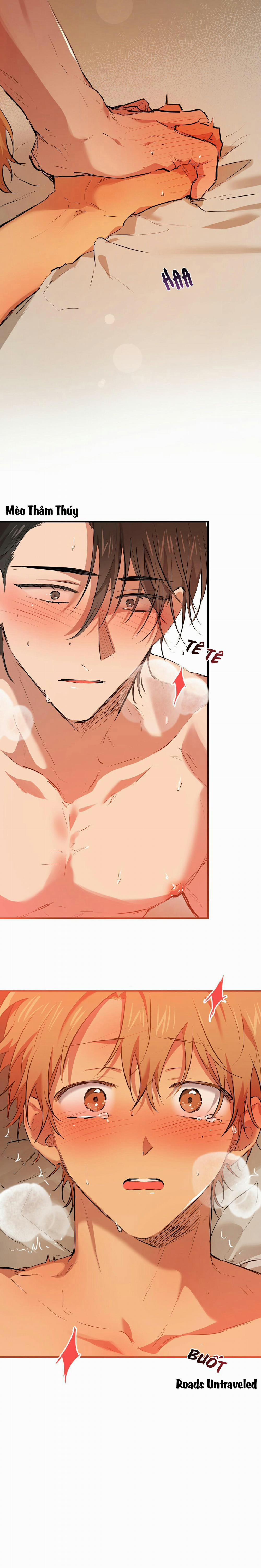 Những Chú Thỏ Của Habibi 26 trang 1