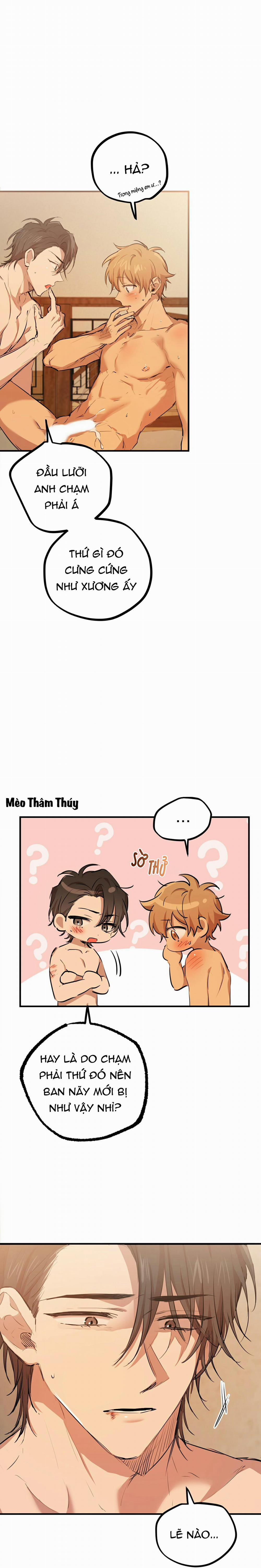 Những Chú Thỏ Của Habibi 26 trang 10