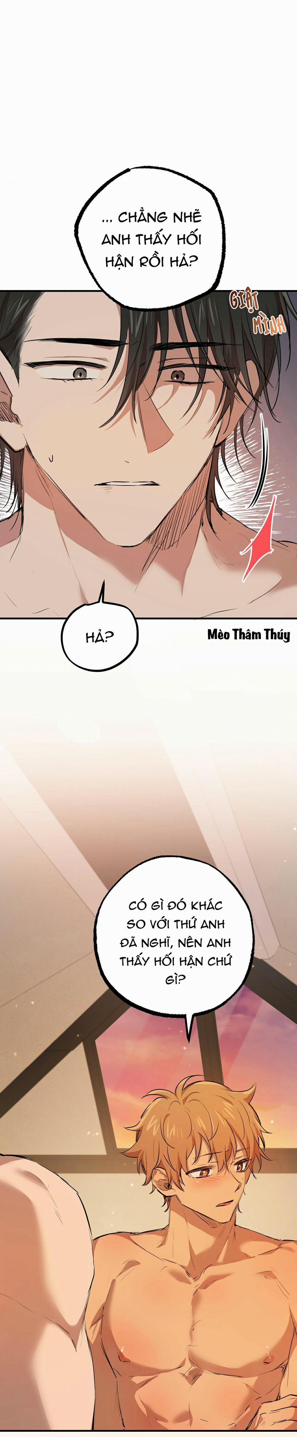 Những Chú Thỏ Của Habibi 26 trang 12