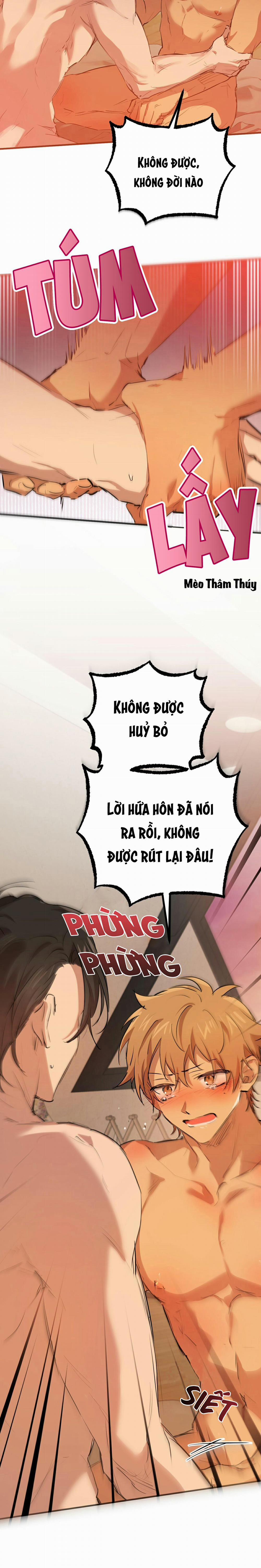 Những Chú Thỏ Của Habibi 26 trang 14